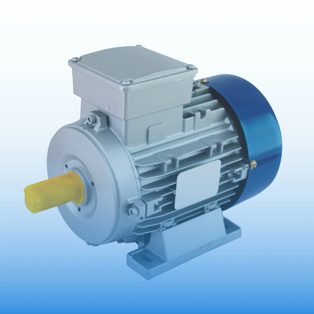 Repair of electric motor